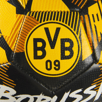 Borussia Dortmund balon de fotbal Spirit