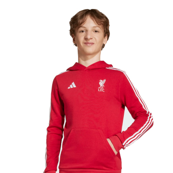 FC Liverpool hanorac cu glugă pentru copii Hoody red