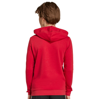 FC Liverpool hanorac cu glugă pentru copii Hoody red