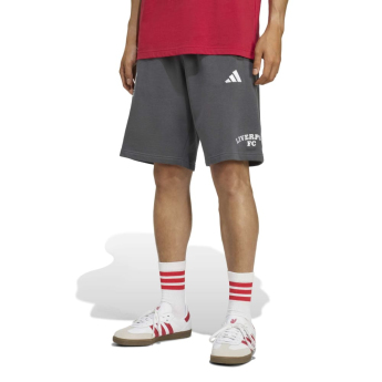 FC Liverpool pantaloni scurți pentru bărbați US grey