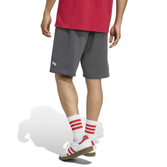 FC Liverpool pantaloni scurți pentru bărbați US grey