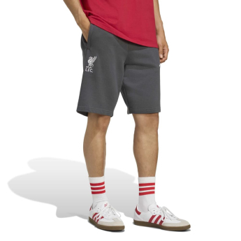FC Liverpool pantaloni scurți pentru bărbați US grey