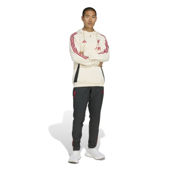 FC Liverpool hanorac de bărbați cu glugă Track beige