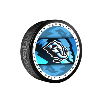 Utah Hockey Club puc Mammoth Medallion Souvenir Collector