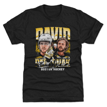 Boston Bruins tricou de copii David Pastrnak #88 Vintage WHT 500 Level