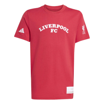 FC Liverpool tricou de copii US Pack