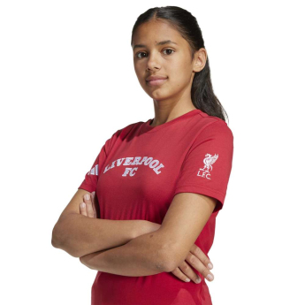 FC Liverpool tricou de copii US Pack