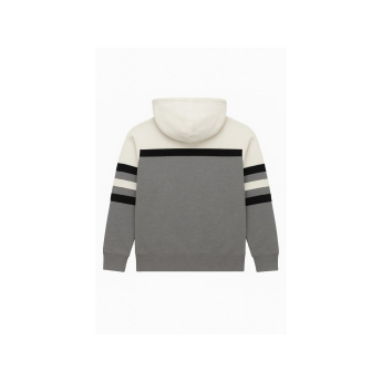 Chicago Blackhawks hanorac de bărbați cu glugă Head Coach Hoodie Current Logo grey