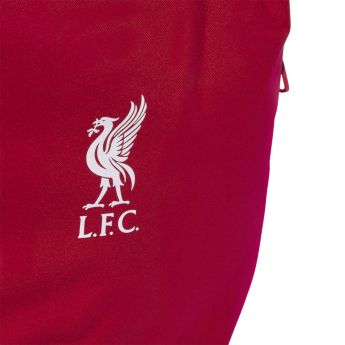 FC Liverpool rucsac Home red