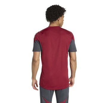 FC Arsenal tricou de antrenament pentru bărbați EU claret