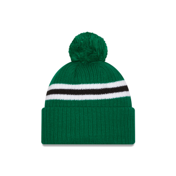 Dallas Stars căciulă de iarnă New Era Cold Winter