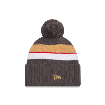 Vegas Golden Knights căciulă de iarnă New Era Cold Winter