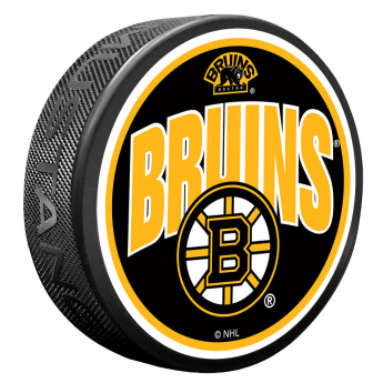 Boston Bruins puc Wordmark