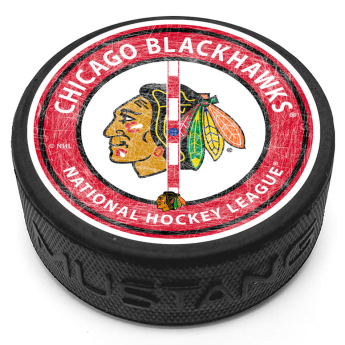 Chicago Blackhawks puc Center Ice