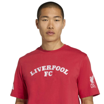 FC Liverpool tricou de bărbați US Pack red