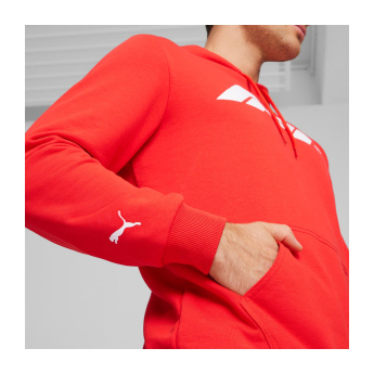 Formula 1 hanorac de bărbați cu glugă Logo red 2024