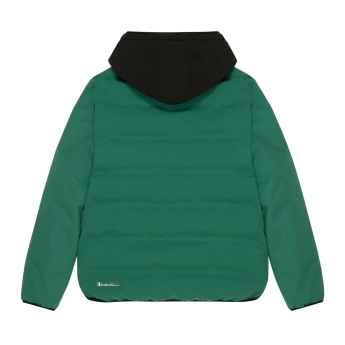 Aston Martin geacă de bărbați cu glugă Puffy Alonso green F1 Team 2025