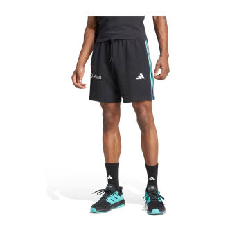 Mercedes AMG Petronas pantaloni scurți de bărbați DNA Logo black F1 Team 2025