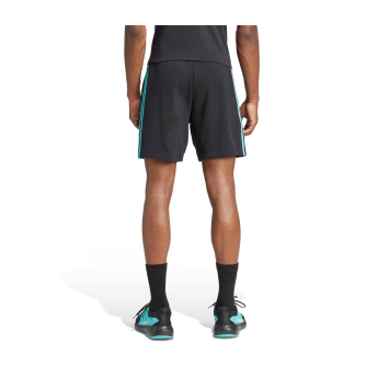 Mercedes AMG Petronas pantaloni scurți de bărbați DNA Logo black F1 Team 2025