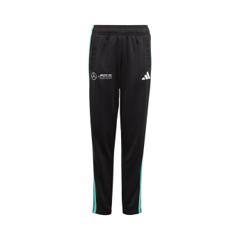 Mercedes AMG Petronas pantaloni de copii DNA Logo black F1 Team 2025