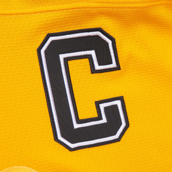 Boston Bruins tricou de hochei Ray Bourque 1996 NHL Dark Alternate Jersey