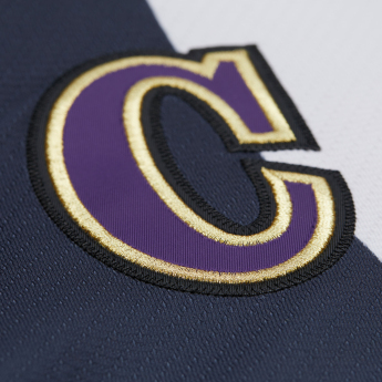 Los Angeles Kings tricou de hochei Wayne Gretzky 1995 NHL Alternate Jersey