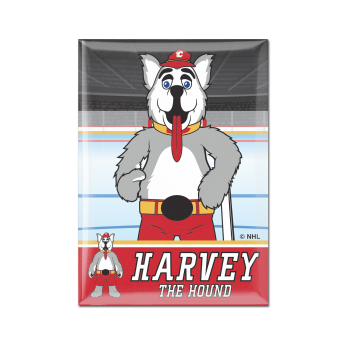 Calgary Flames magnet Metal Mascot