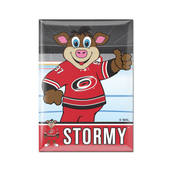 Carolina Hurricanes magnet Metal Mascot