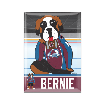 Colorado Avalanche magnet Metal Mascot