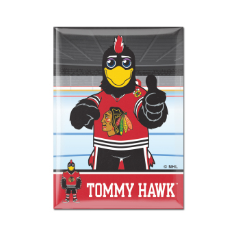 Chicago Blackhawks magnet Metal Mascot