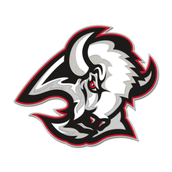 Buffalo Sabres insignă Enamel Pin Jewelry Card