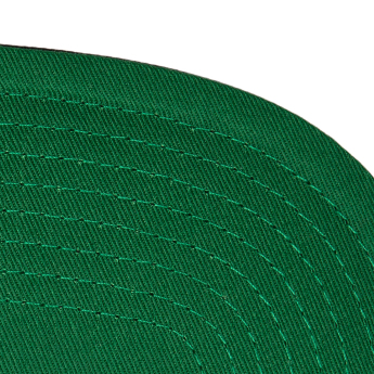 Dallas Stars șapcă flat Top Spot Snapback black