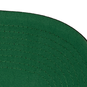 Washington Capitals șapcă de baseball Busted Pro Snapback black