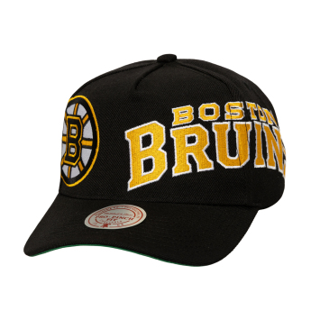 Boston Bruins șapcă de baseball Busted Pro Snapback black