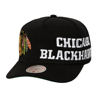Chicago Blackhawks șapcă de baseball Busted Pro Snapback black