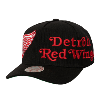 Detroit Red Wings șapcă de baseball Busted Pro Snapback black