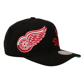 Detroit Red Wings șapcă de baseball Busted Pro Snapback black