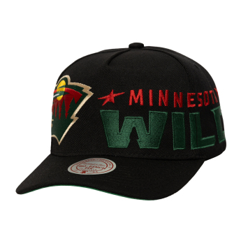 Minnesota Wild șapcă de baseball Busted Pro Snapback black