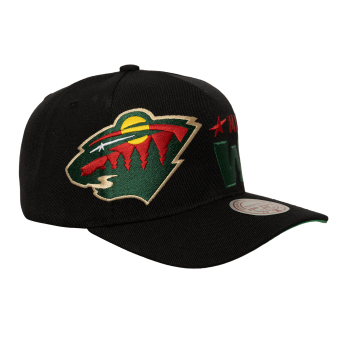 Minnesota Wild șapcă de baseball Busted Pro Snapback black
