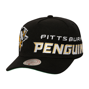 Pittsburgh Penguins șapcă de baseball Busted Pro Snapback black