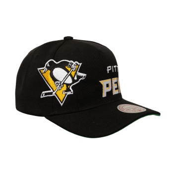 Pittsburgh Penguins șapcă de baseball Busted Pro Snapback black