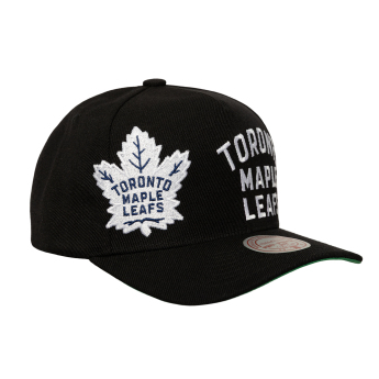 Toronto Maple Leafs șapcă de baseball Busted Pro Snapback black