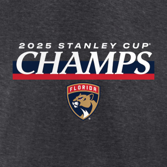 Florida Panthers tricou de bărbați 025 Stanley Cup Champions Give & Go Roster Heather Charcoal