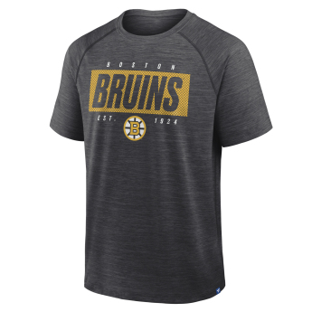 Boston Bruins tricou de bărbați Vital grey