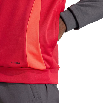 FC Liverpool hanorac de bărbați cu glugă Track red