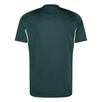 FC Arsenal tricou de antrenament pentru bărbați aurora