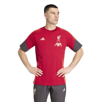 FC Liverpool tricou de bărbați Tiro Tee red