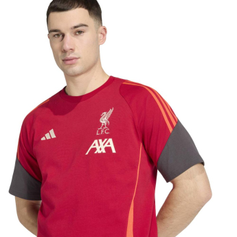 FC Liverpool tricou de bărbați Tiro Tee red