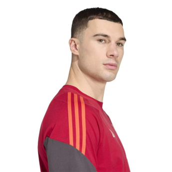 FC Liverpool tricou de bărbați Tiro Tee red