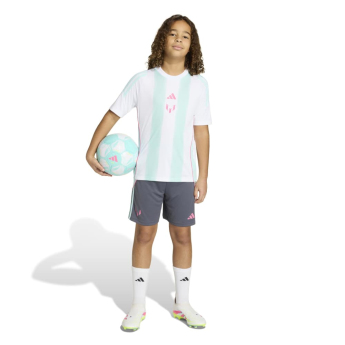 Lionel Messi boxeri pentru copii MESSI aurora